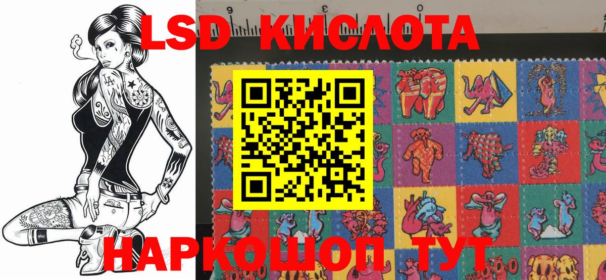 Губкин  Марки NBOMe 1500мкг  Вход с VPN  Марки 25I-NBOMe  Марки NBOMe 1500мкг 