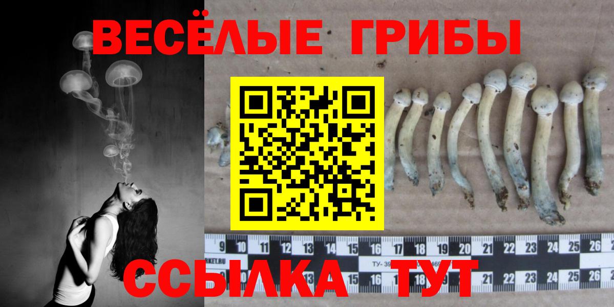 Галлюциногенные грибы Cubensis  Вход с VPN  Губкин  Псилоцибиновые грибы мухоморы 